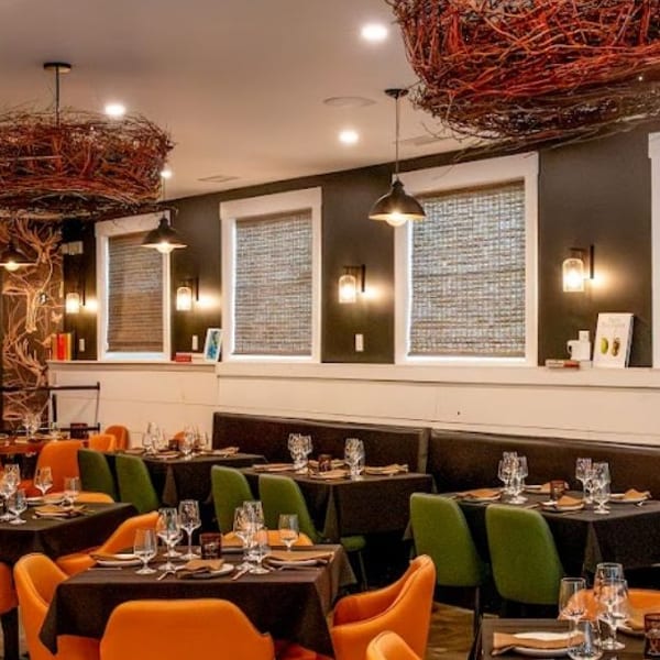 A restaurant dining room with tables set with black tablecloths, orange and green chairs, and nature-themed decor.